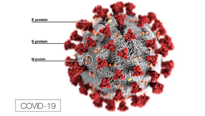 Los pacientes asintomaticos exparcen el virus