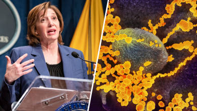 El coronavirus cuando y con que intensidad golpeara Estados Unidos