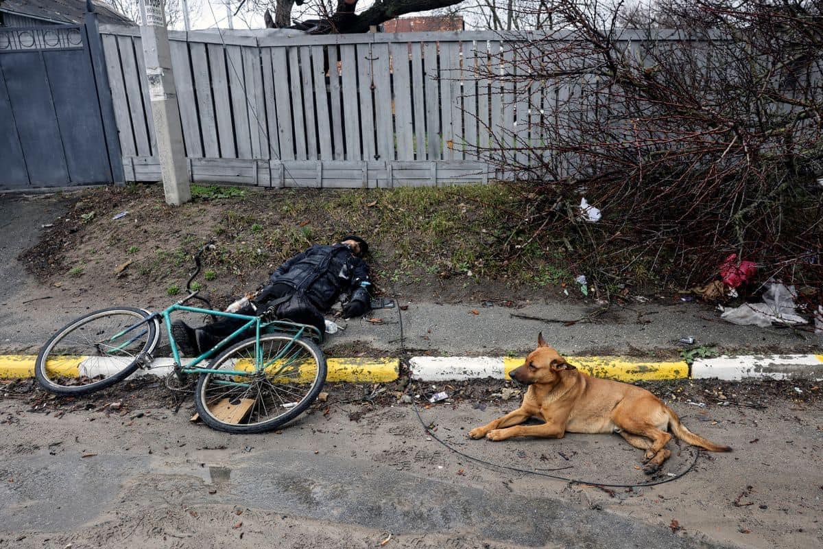 Hachiko de Ucrania El perro se niega a dejar el cuerpo del dueño en Kiev