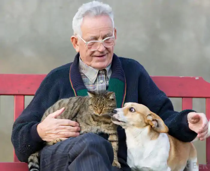 Adultos Mayores Cómo las mascotas contribuyen al envejecimiento saludable
