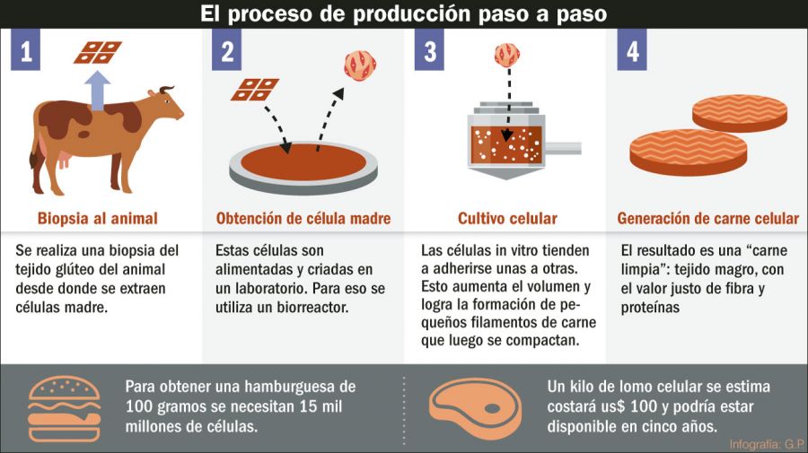 La Carne Artificial ha llegado para quedarse