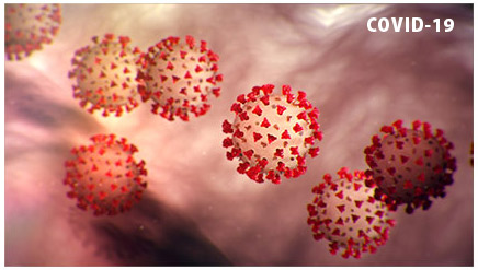 Coronavirus la prevencion aislamiento y diagnostico a tiempo salvan vidas