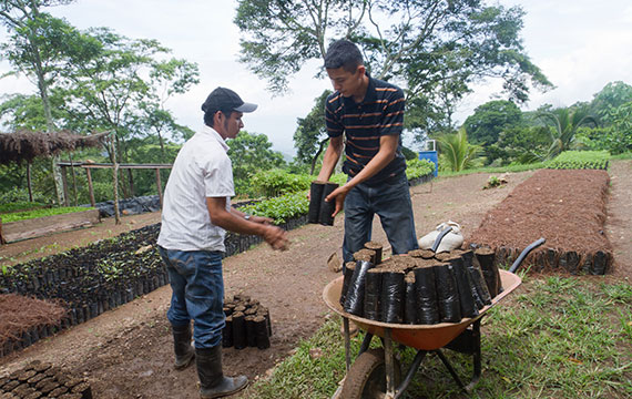 MOCCA la apuesta de Estados Unidos por el Café y Cacao peruano