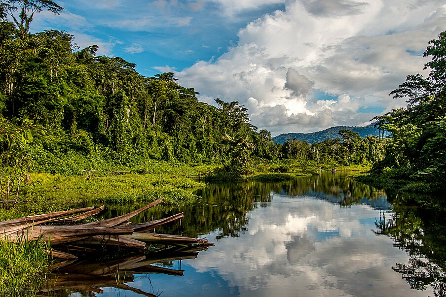 Parque Nacional del Manu
