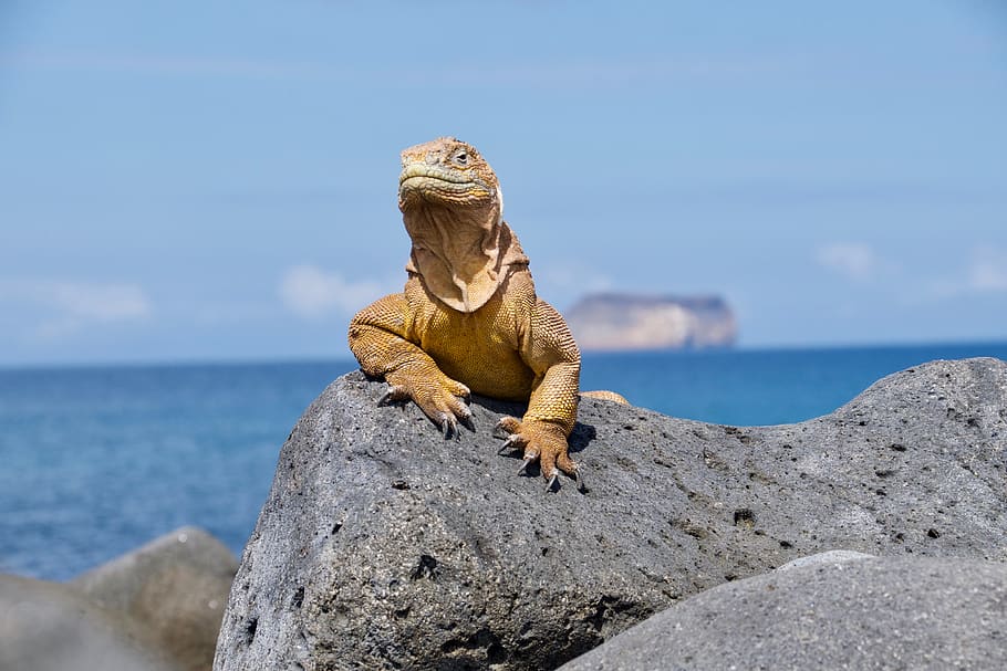 Parque Nacional Galápagos
